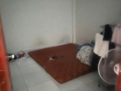 Nhà đẹp xinh dt khủng 5mx11m đường ô tô tải thông ngay chợ gà trần quang cơ 4