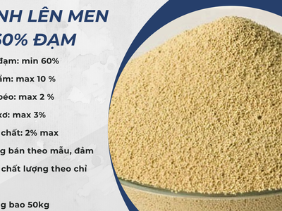 Nành Lên Men 60 Đạm jmmk 0