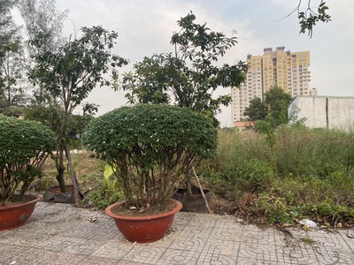 Lô đất đường cao đẳng Mẫu giao trung ương đường liên phường DT 111m 2