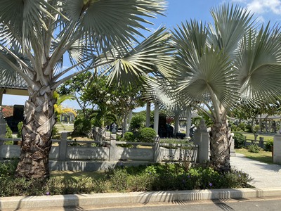 Bán đất nền xây dựng huyệt mộ tại dự án vĩnh hằng long thành đồng nai 4