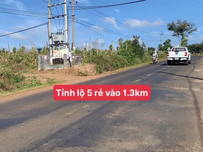 Bán đất tp bmt cách ngã sáu chỉ 8km mặt tiền 29m đường bê tong diện tích trên 500m2 chỉ 189trieu 0