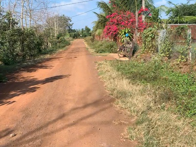 Bán đất tp bmt cách ngã sáu chỉ 8km mặt tiền 29m đường bê tong diện tích trên 500m2 chỉ 189trieu 2