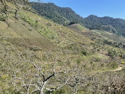 Bán đất 2600m  view thung lũng đẹp, TTNT Mộc Châu, giá chỉ 1,3 tỷ 6