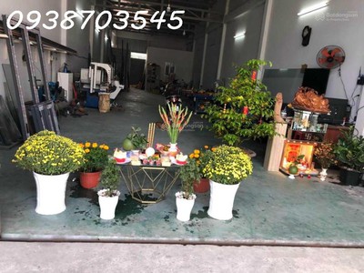 Bán nhà mt trần văn giàu bình chánh 6,45 x50m 250m2 thổ cư giá 11,7 tỷ 2