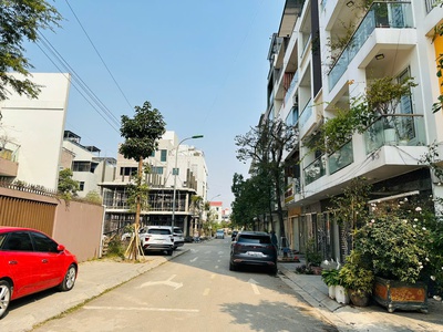 Siêu phẩm biệt thự kdt cổ dương sẵn dòng tiền cho thuê giá đầu tư 2