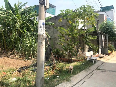 Gấp bán sát vincom, p lô, x dựng 4 tầng, dt 68m2   4 x 17   hiếm, giá chỉ 3.3 ty 2