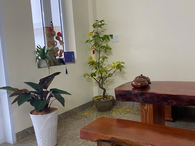 Bán nhà mặt tiền đường Tây Sơn giá chỉ 4.4 tỷ 6