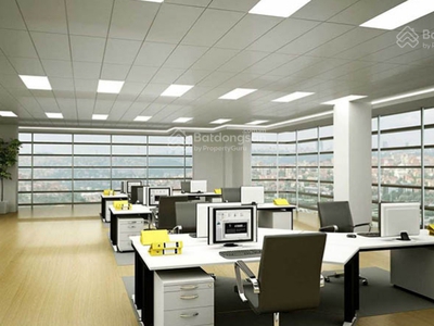 Cho thuê sàn văn phòng hạng a trên phố cát linh dt 200-500-1500m2 giá chỉ 750k/m2 3