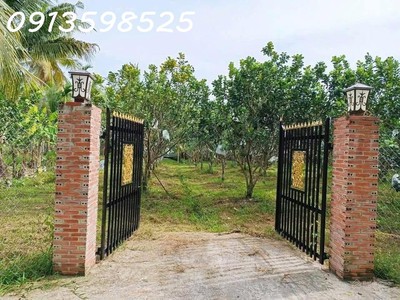 1000m2 nhà vườn sát chợ, đường 12m, đầy đủ điện nước 2