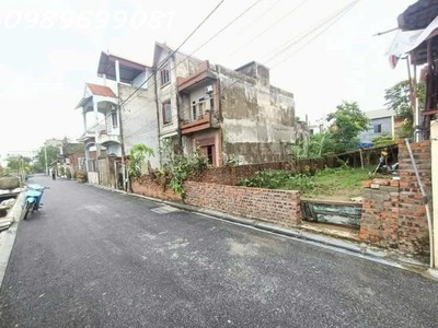 Bán đất bìa làng  đại bằng nguyên khê đông anh 100m -gần đường võ nguyên giáp 1