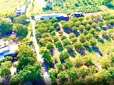 Chính chủ bán đất đẹp   cơ hội đầu tư siêu hấp dẫn 3