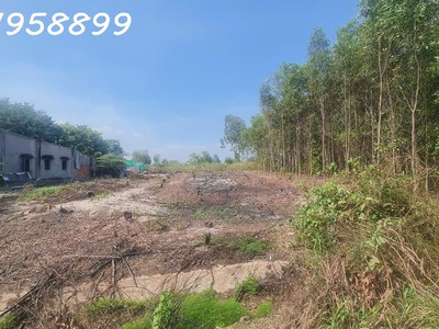 Bán 20m x 47 đất thổ cư đường cù chính lan, thị xã lagi hạ giá 50 chỉ 100 triệu/m ngang 3