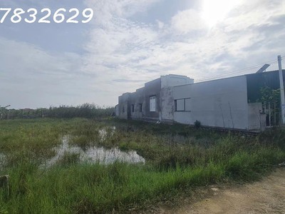 Bán 10m x 35m đất ont tân phước - tx lagi giá rẻ nhất gần 577 0