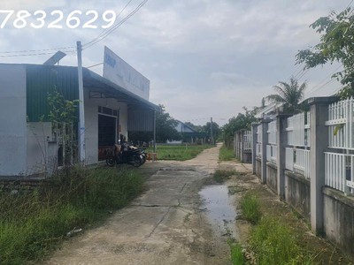 Bán 10m x 35m đất ont tân phước - tx lagi giá rẻ nhất gần 577 1