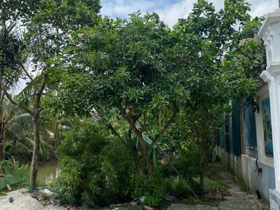 Bán lô đất tiềm năng sinh lời cao tại xã vũ bình, kiến xương. diện tích đất 100m2 giá chỉ 1.06 tỷ 0