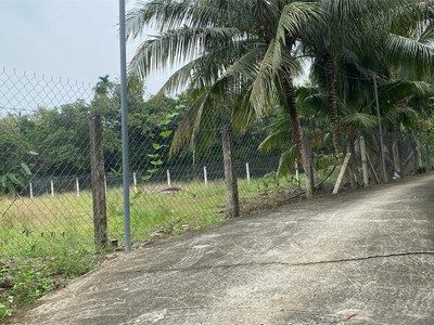 Cơ hội đầu tư: đất an sơn 32, 15x32m, pháp lý rõ ràng, đường bê tông 3,5m 0