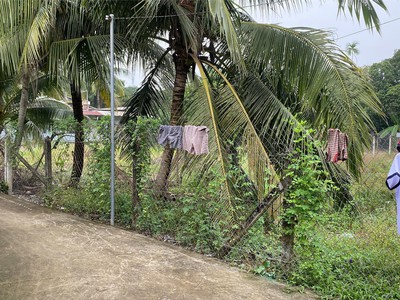 Cơ hội đầu tư: đất an sơn 32, 15x32m, pháp lý rõ ràng, đường bê tông 3,5m 1