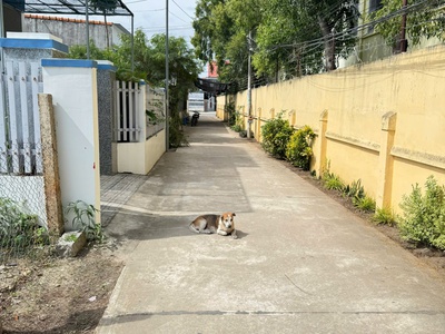 Chính chủ cần bán nhanh lô đất bên cạnh trường trần quý cáp, p ninh diêm, ninh hoà. 1