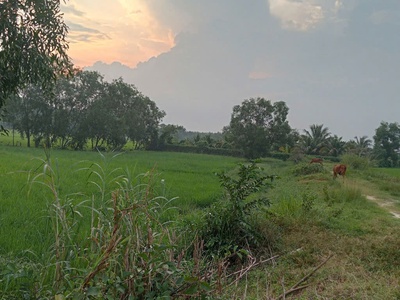 Cần tìm nhà đầu tư cho lô đất 3 nghìn m2 ở mt hương lộ 2. 3