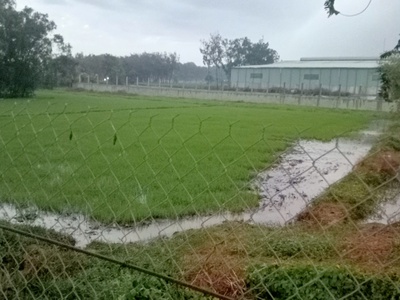 Cần tìm nhà đầu tư cho lô đất 3 nghìn m2 ở mt hương lộ 2. 4