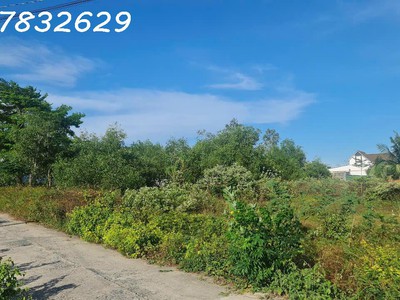 Bán gấp 42m x 38m đất ont hẻm tôn đức thắng - tx lagi giá ngộp chỉ 250 triệu/m ngang 0