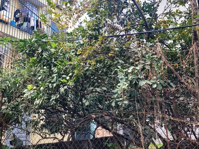 Bán đất phúc lý ngay quận ủy btl ô tô vào đất, mt rộng, xây ccmn, bt mini 70m nhỉnh 6 tỷ 2