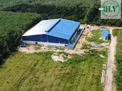 Bán xưởng kv 15.000m2 xưởng 3.000m2 đường Trừ Văn Thố, Bàu Bàng 2