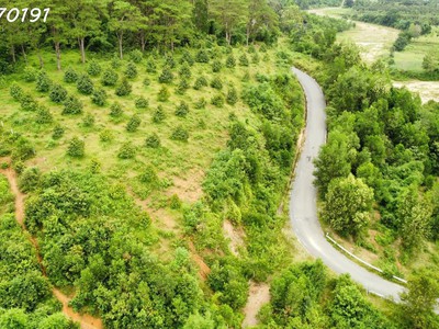 Đất full thổ- đườn 13m- cách đinh tiên hoàng 200m- giá chỉ 910 triệu- mua siêu lãi 3