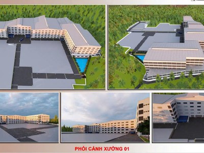 Nhà xưởng 193.000 m2 cho thuê nhiều diện tích theo yêu cầu tại Tân Uyên Bình Dương 0