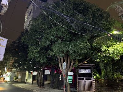 Lô đất khủng dt 220m2  giá cực rẻ nhất khu vực 69tr/m2 bà huyện thanh quan sát biển tp đà nẵng 2