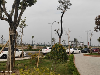 Mở bán đợt cuối đất nền liền kề tại khu đô thị kiểu mẫu tân thanh elite city, gần trung tâm hành 4