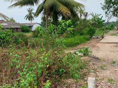 Chính chủ cần bán đất ở xã đức tân - h.tân trụ - long an. 1