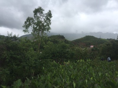 Mộc Châu 872m , thổ cư 400m , gần QL43, giá chỉ 850 triệu 0