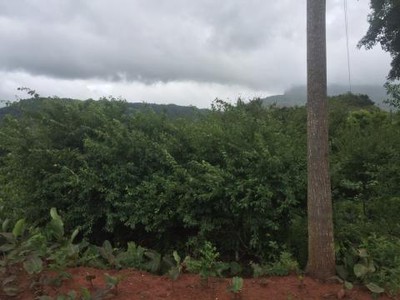 Mộc Châu 872m , thổ cư 400m , gần QL43, giá chỉ 850 triệu 3