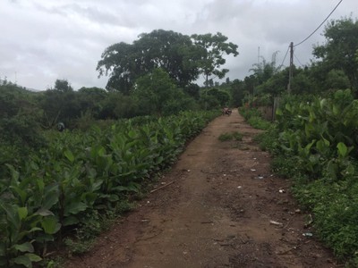 Mộc Châu 872m , thổ cư 400m , gần QL43, giá chỉ 850 triệu 4