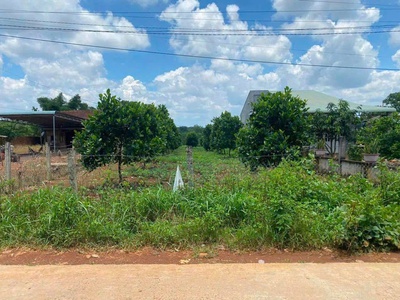 Vỡ nợ cấn bán gấp mảnh vườn 1450m2 có 100 thổ cư 1