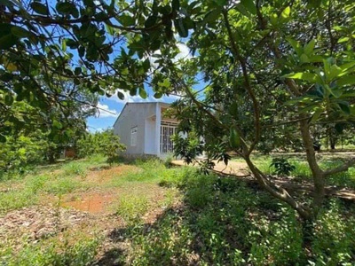 Vỡ nợ cấn bán gấp mảnh vườn 1450m2 có 100 thổ cư 4