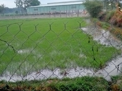 Nhà có việc, cần chốt gấp 3