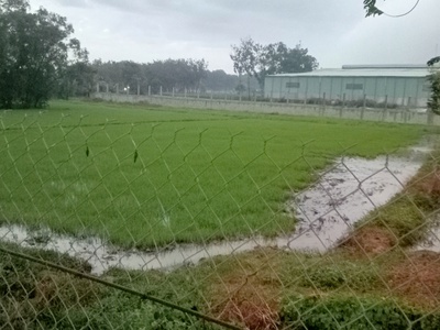 Nhà có việc, cần chốt gấp 1