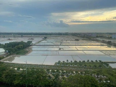 Bán 5 lô đất tặng cửa hàng kinh doanh 6 tầng vip tại vòng xoay kim đào 2