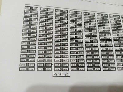 Huyệt đơn khu phú quý dự án phúc an viên quận 9 tp hcm 1