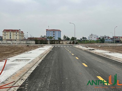 Hàng siêu hiếm đã có bìa tại Đấu giá Bái Ngoài, Hoa Động, Thuỷ Nguyên, Hải Phòng 1