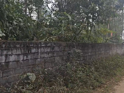 Chính chủ bán lô đất 493m2 Lương Sơn, Hòa Bình giá chỉ 5 tr/m2 1