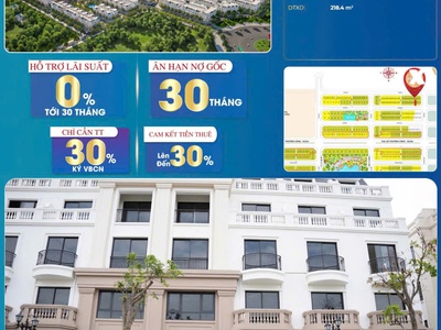Siêu phẩm thấp tầng vinhomes tđ2-0x cam kết tiền thuê 30 trong 5 năm 0