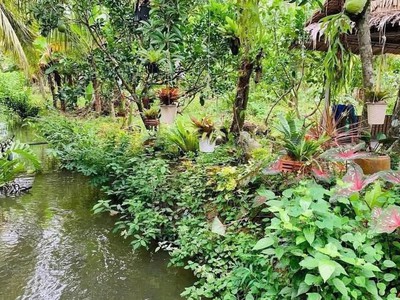 Vỡ nợ cần bán lỗ 3500 m2. giá 310tr đường 10m, có nhà vườn nhỏ. 1
