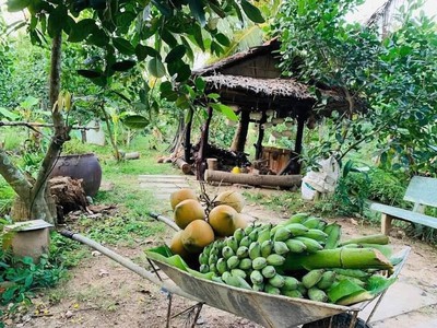 Vỡ nợ cần bán lỗ 3500 m2. giá 310tr đường 10m, có nhà vườn nhỏ. 3