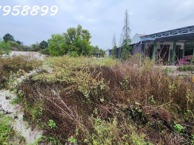 Giảm sốc chỉ còn 1 tỷ lô đất 330m2 đất lô 2 ngô tất tố, tân phước, thị xã lagi gần biển cam bình 0