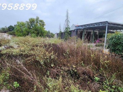 Giảm sốc chỉ còn 1 tỷ lô đất 330m2 đất lô 2 ngô tất tố, tân phước, thị xã lagi gần biển cam bình 2