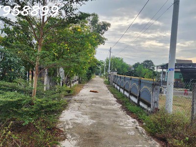 Giảm sốc chỉ còn 1 tỷ lô đất 330m2 đất lô 2 ngô tất tố, tân phước, thị xã lagi gần biển cam bình 3