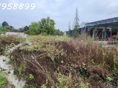 Giảm sốc chỉ còn 1 tỷ lô đất 330m2 đất lô 2 ngô tất tố, tân phước, thị xã lagi gần biển cam bình 4
